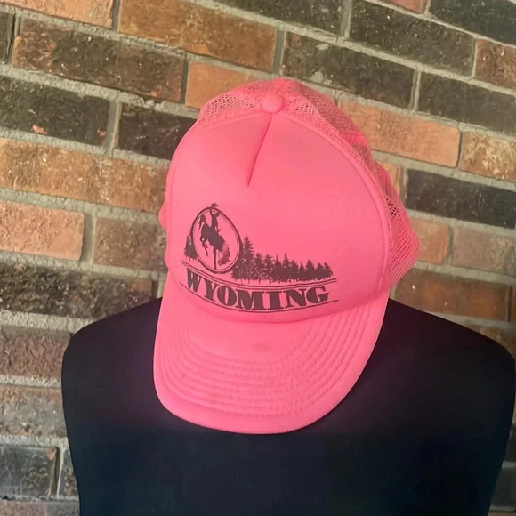 Pink Mesh Trucker Hat - Picture 1 of 4